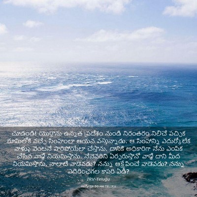 Picture 03 - యిర్మీయా 50:44 TELIRV - చూడండి! యొర్దాను - Bible Verse Picture