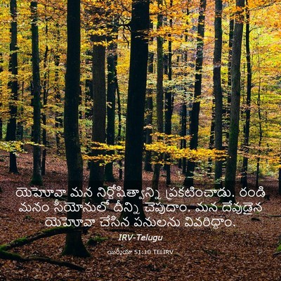 Picture 03 - యిర్మీయా 51:10 TELIRV - యెహోవా మన - Bible Verse Picture
