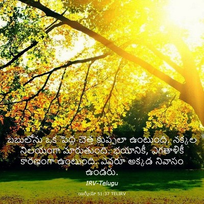 Picture 03 - యిర్మీయా 51:37 TELIRV - బబులోను ఒక పెద్ద - Bible Verse Picture