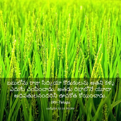 Picture 03 - యిర్మీయా 52:10 TELIRV - బబులోను రాజు - Bible Verse Picture