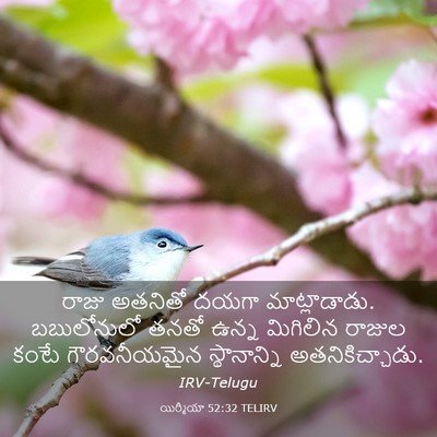 Picture 03 - యిర్మీయా 52:32 TELIRV - రాజు అతనితో దయగా - Bible Verse Picture