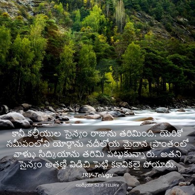 Picture 03 - యిర్మీయా 52:8 TELIRV - కానీ కల్దీయుల - Bible Verse Picture