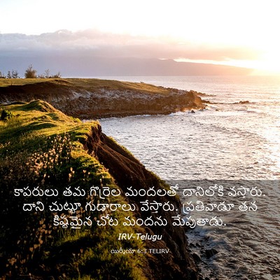 Picture 03 - యిర్మీయా 6:3 TELIRV - కాపరులు తమ - Bible Verse Picture