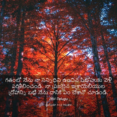 Picture 03 - యిర్మీయా 7:12 TELIRV - గతంలో నేను నా - Bible Verse Picture