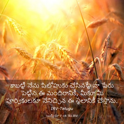 Picture 03 - యిర్మీయా 7:14 TELIRV - కాబట్టి నేను - Bible Verse Picture