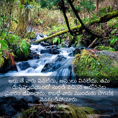 Picture 03 - యిర్మీయా 7:24 TELIRV - అయితే వారు - Bible Verse Picture