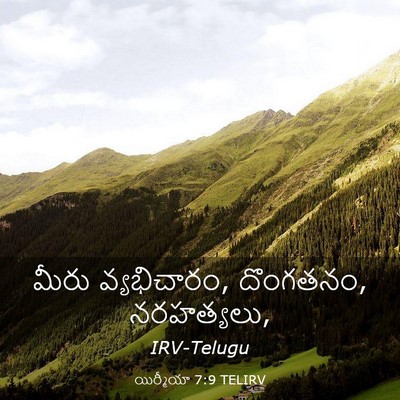 Picture 03 - యిర్మీయా 7:9 TELIRV - మీరు వ్యభిచారం, - Bible Verse Picture