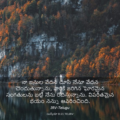 Picture 03 - యిర్మీయా 8:21 TELIRV - నా జనుల వేదన చూసి - Bible Verse Picture