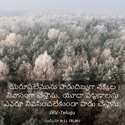 Picture 03 - యిర్మీయా 9:11 TELIRV - యెరూషలేమును - Bible Verse Picture