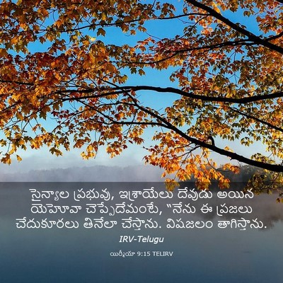 Picture 03 - యిర్మీయా 9:15 TELIRV - సైన్యాల ప్రభువు, - Bible Verse Picture