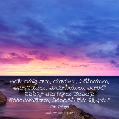 Picture 03 - యిర్మీయా 9:26 TELIRV - అంటే ఐగుప్తు వారు, - Bible Verse Picture