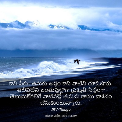 Picture 03 - యూదా పత్రిక 1:10 TELIRV - కాని వీరు, తమకు - Bible Verse Picture