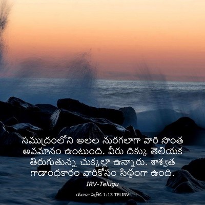 Picture 03 - యూదా పత్రిక 1:13 TELIRV - సముద్రంలోని అలల - Bible Verse Picture