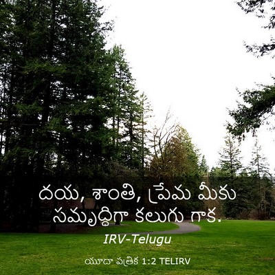 Picture 03 - యూదా పత్రిక 1:2 TELIRV - దయ, శాంతి, ప్రేమ - Bible Verse Picture