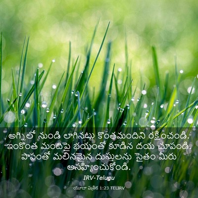 Picture 03 - యూదా పత్రిక 1:23 TELIRV - అగ్నిలో నుండి - Bible Verse Picture