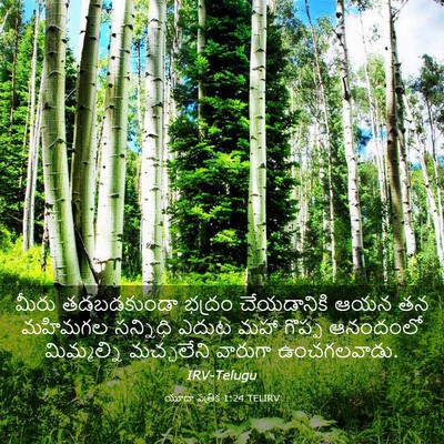 Picture 03 - యూదా పత్రిక 1:24 TELIRV - మీరు తడబడకుండా - Bible Verse Picture