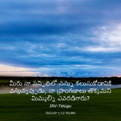 Picture 03 - యెషయా 1:12 TELIRV - మీరు నా సన్నిధిలో - Bible Verse Picture
