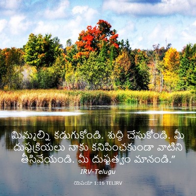 Picture 03 - యెషయా 1:16 TELIRV - మిమ్మల్ని - Bible Verse Picture