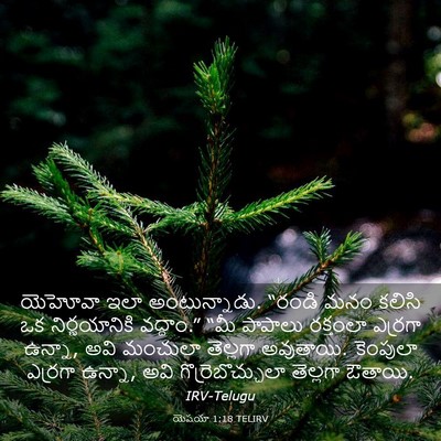 Picture 03 - యెషయా 1:18 TELIRV - యెహోవా ఇలా - Bible Verse Picture