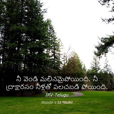 Picture 03 - యెషయా 1:22 TELIRV - నీ వెండి - Bible Verse Picture