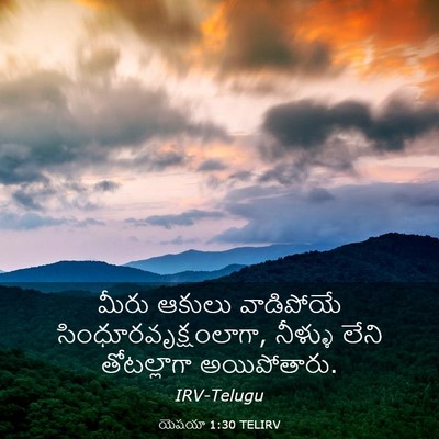 Picture 03 - యెషయా 1:30 TELIRV - మీరు ఆకులు - Bible Verse Picture