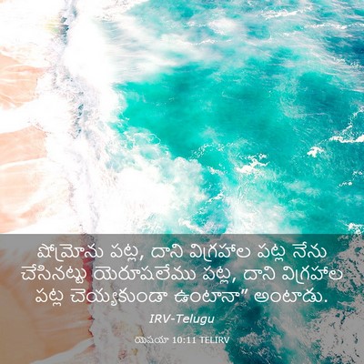 Picture 03 - యెషయా 10:11 TELIRV - షోమ్రోను పట్ల, - Bible Verse Picture