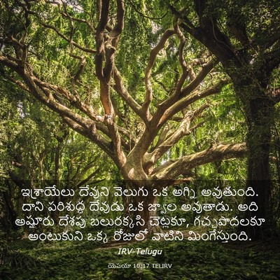 Picture 03 - యెషయా 10:17 TELIRV - ఇశ్రాయేలు దేవుని - Bible Verse Picture