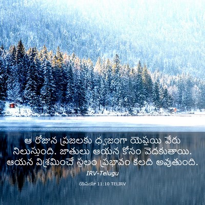 Picture 03 - యెషయా 11:10 TELIRV - ఆ రోజున ప్రజలకు - Bible Verse Picture