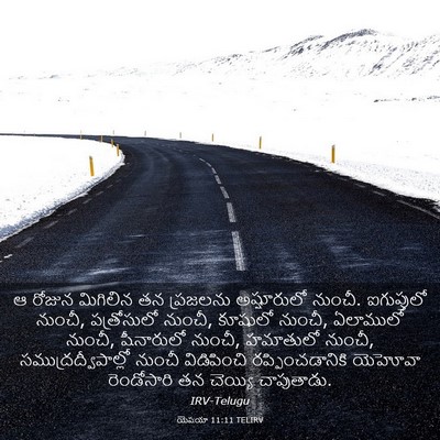 Picture 03 - యెషయా 11:11 TELIRV - ఆ రోజున మిగిలిన తన - Bible Verse Picture