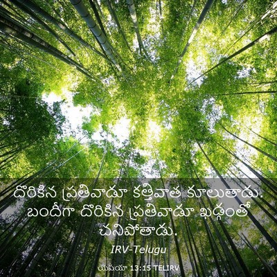 Picture 03 - యెషయా 13:15 TELIRV - దొరికిన ప్రతివాడూ - Bible Verse Picture