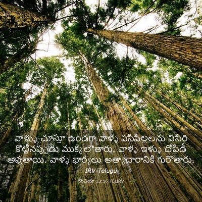 Picture 03 - యెషయా 13:16 TELIRV - వాళ్ళు చూస్తూ - Bible Verse Picture