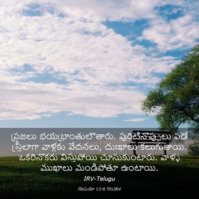 Picture 03 - యెషయా 13:8 TELIRV - ప్రజలు - Bible Verse Picture