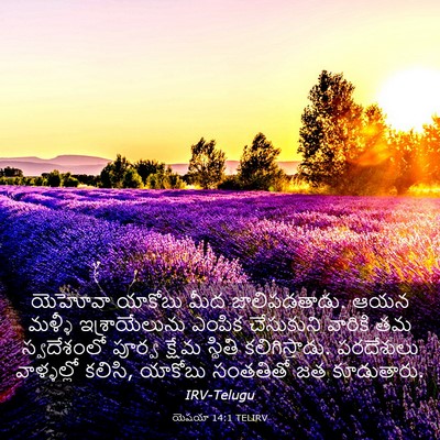 Picture 03 - యెషయా 14:1 TELIRV - యెహోవా యాకోబు మీద - Bible Verse Picture