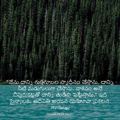 Picture 03 - యెషయా 14:23 TELIRV - “నేను దాన్ని - Bible Verse Picture
