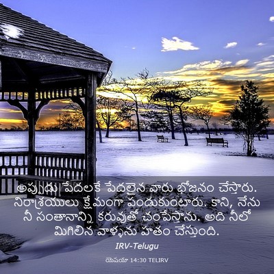 Picture 03 - యెషయా 14:30 TELIRV - అప్పుడు పేదలకే - Bible Verse Picture
