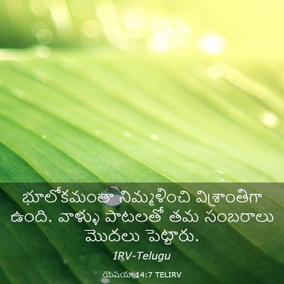 Picture 03 - యెషయా 14:7 TELIRV - భూలోకమంతా - Bible Verse Picture