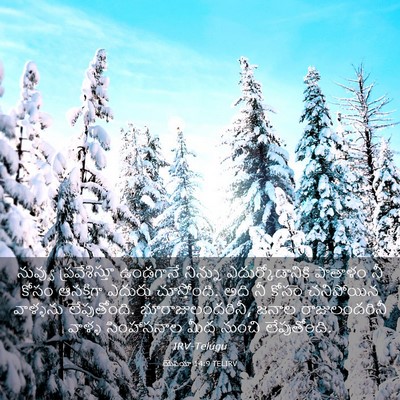 Picture 03 - యెషయా 14:9 TELIRV - నువ్వు - Bible Verse Picture