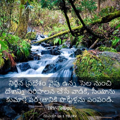 Picture 03 - యెషయా 16:1 TELIRV - నిర్జన ప్రదేశం - Bible Verse Picture