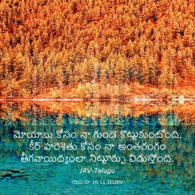 Picture 03 - యెషయా 16:11 TELIRV - మోయాబు కోసం నా - Bible Verse Picture