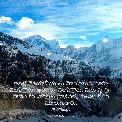 Picture 03 - యెషయా 16:7 TELIRV - కాబట్టి - Bible Verse Picture