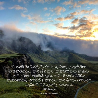 Picture 03 - యెషయా 16:8 TELIRV - ఎందుకంటే హెష్బోను - Bible Verse Picture