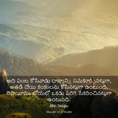 Picture 03 - యెషయా 17:5 TELIRV - అది పంట కోసేవాడు - Bible Verse Picture