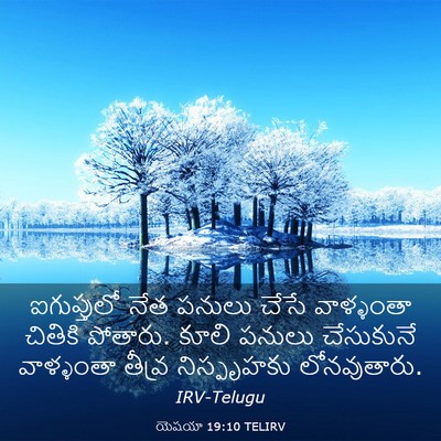 Picture 03 - యెషయా 19:10 TELIRV - ఐగుప్తులో నేత - Bible Verse Picture