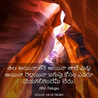 Picture 03 - యెషయా 19:15 TELIRV - తల అయినా తోక అయినా - Bible Verse Picture