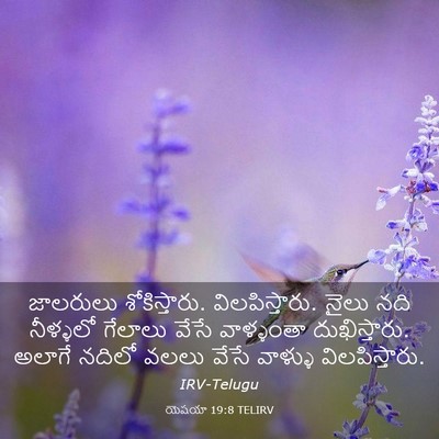 Picture 03 - యెషయా 19:8 TELIRV - జాలరులు - Bible Verse Picture