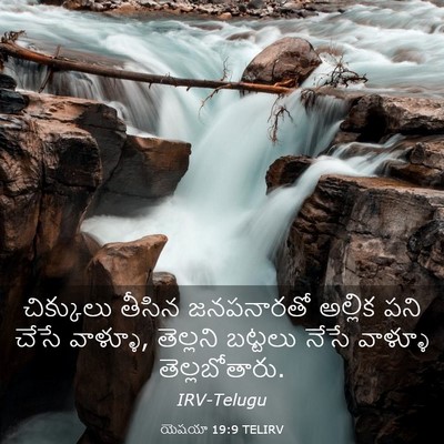 Picture 03 - యెషయా 19:9 TELIRV - చిక్కులు తీసిన - Bible Verse Picture