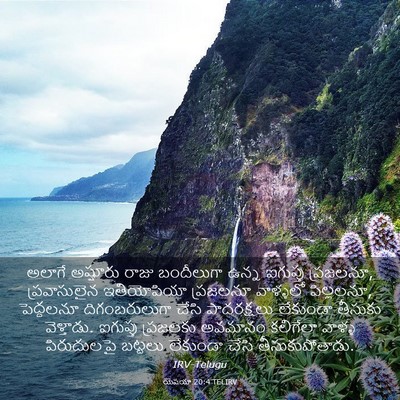 Picture 03 - యెషయా 20:4 TELIRV - అలాగే అష్షూరు - Bible Verse Picture