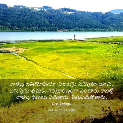 Picture 03 - యెషయా 20:5 TELIRV - వాళ్ళు ఇతియోపియా - Bible Verse Picture