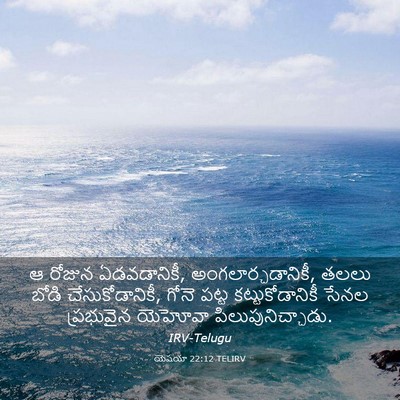 Picture 03 - యెషయా 22:12 TELIRV - ఆ రోజున ఏడవడానికీ, - Bible Verse Picture