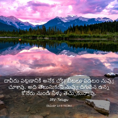 Picture 03 - యెషయా 22:9 TELIRV - దావీదు పట్టణానికి - Bible Verse Picture